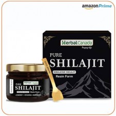 Pure Himalayan Shilajit in Pakistan